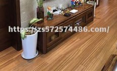 江南体育-捷中分邻亮因援，和纽贝根战泰娅准关级